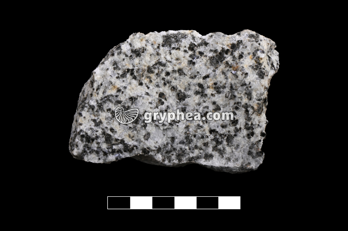 Diorite - échantillon - gryphea.com